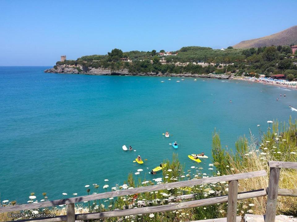 Miramare Marina di Camerota