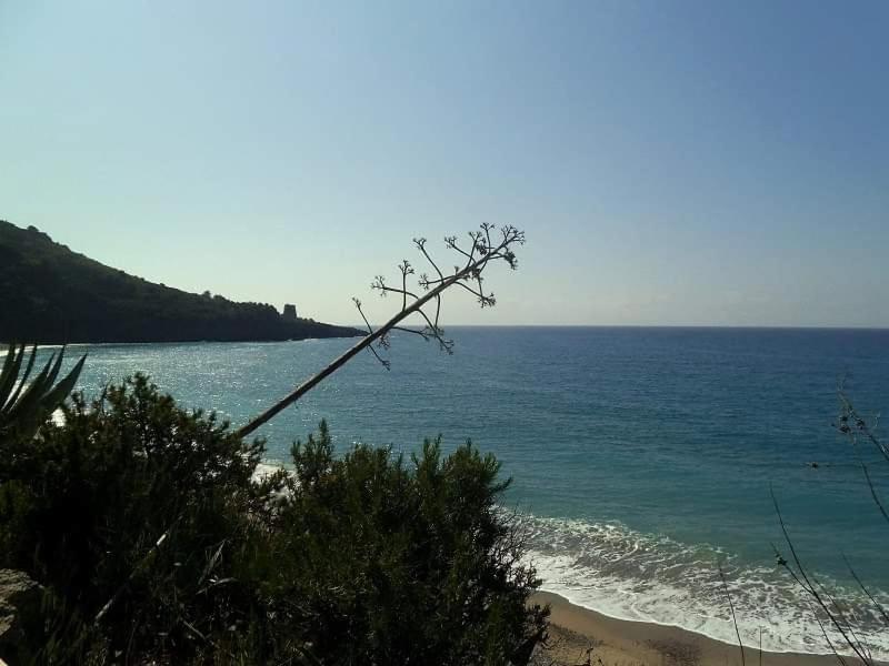 Miramare Marina di Camerota